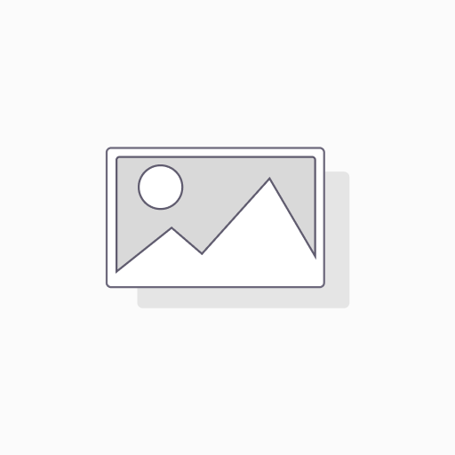 *CASHBOOK*. MOI DOHODY I RAS-HODY. BIRJUZOVYJ
